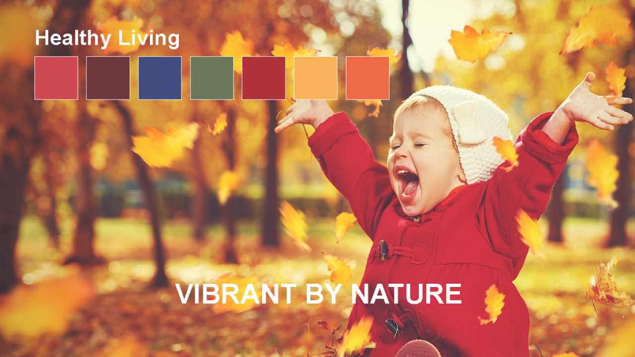 WebsitVisuals HealthyLiving